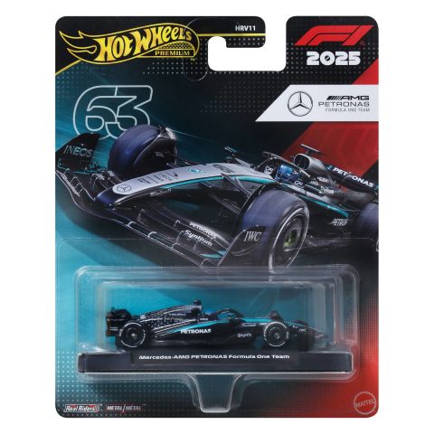 Hot Wheels Race Team Mercedes-benz - Driver 1
