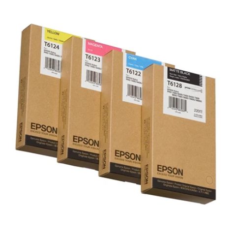 Epson T612300