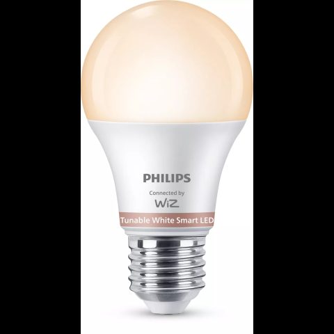 Philips Viedā LED spuldze A60