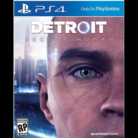 Sony Interactive Entertainment Detroit: Become Human Standarts PlayStation 4