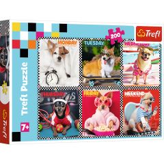 Trefl 13279 puzle 200 pcs Dzīvnieki