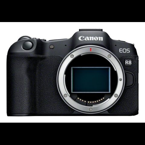 Canon EOS R8 + RF 24-50mm F4.5-6.3 IS STM Kit Беззеркальный цифровой фотоаппар…