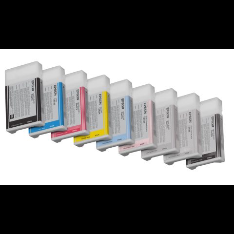 Epson T603900