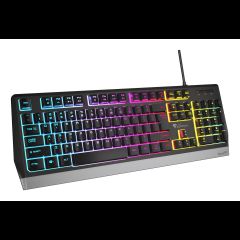 Genesis Rhod 300 RGB keyboard Gaming USB QWERTY English Black
