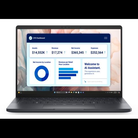 Dell Pro 13 Premium PA13250 Copilot+ PC Intel Core Ultra 7 266V Portatīvais d…
