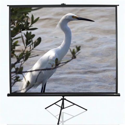 Elite Screens Tripod Series