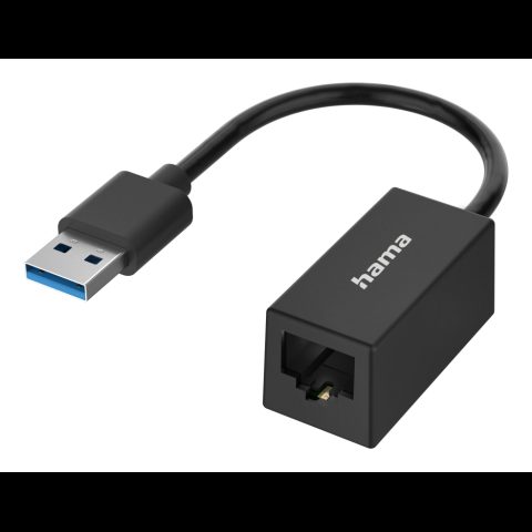 Hama 00300024 interfeisa karte/adapteris RJ-45