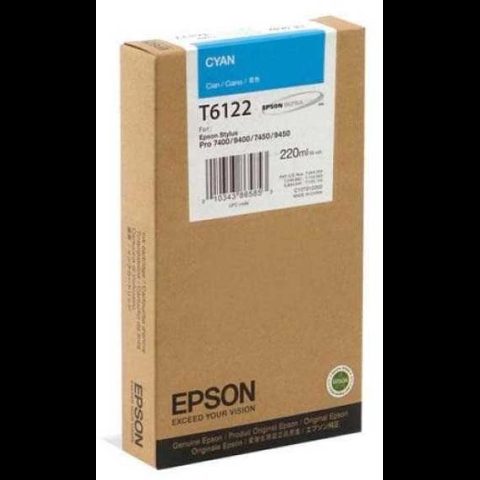Epson T612200
